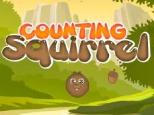 Counting Squirrel